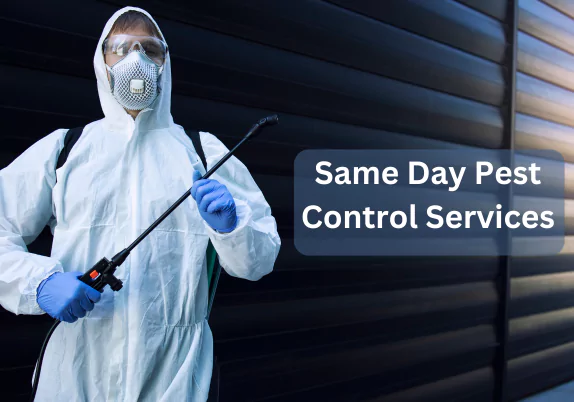 Same Day Pest Control Services Mernda